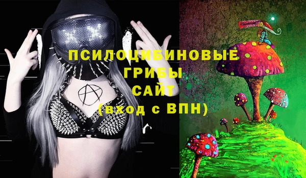 прущая мука Няндома