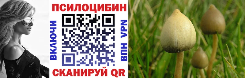 Галлюциногенные грибы Cubensis  Переславль-Залесский 